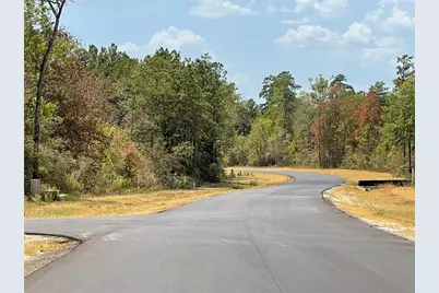 122 Signal Road, New Waverly, TX 77358 - Photo 5