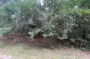 3440 Corolla Rd, Magnolia, TX 77354 - Photo 3