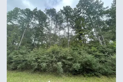 3440 Corolla Road, Magnolia, TX 77354 - Photo 7