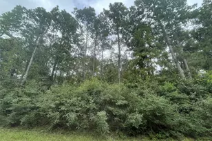3440 Corolla Rd, Magnolia, TX 77354 - Photo 7