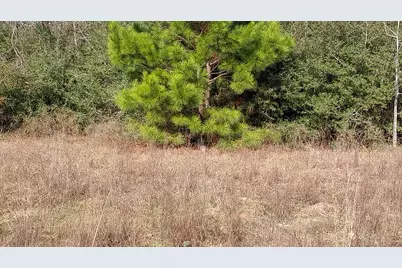 0 Fm 1511, Buffalo, TX 75831 - Photo 7