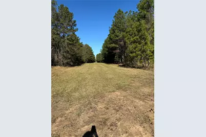 511 Queen Anne, Huntsville, TX 77340 - Photo 9