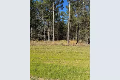 511 Queen Anne, Huntsville, TX 77340 - Photo 5