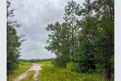 5 Sunflower Road, Livingston, TX 77351 - Photo 5