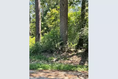 0 Idle Wild Road, New Caney, TX 77357 - Photo 11
