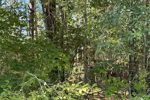 000 Caney Creek, Huntsville, TX 77320 - Photo 1