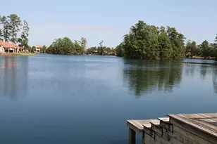 1115 Compass Cove Cir, Spring, TX 77379 - Photo 33