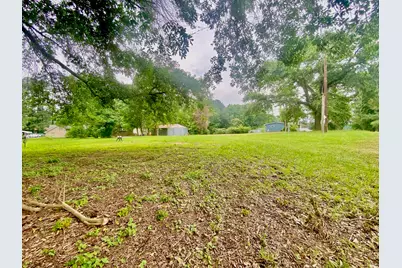 Tbd Sycamore Street, Latexo, TX 75849 - Photo 9