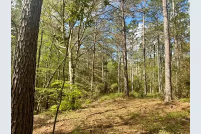 Lot 281 Lakeland Ranch Drive, Hillister, TX 77624 - Photo 13