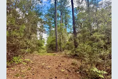 Lot 281 Lakeland Ranch Drive, Hillister, TX 77624 - Photo 5