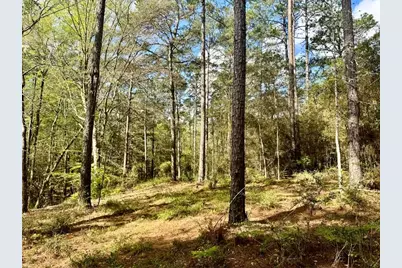 Lot 281 Lakeland Ranch Drive, Hillister, TX 77624 - Photo 3