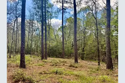 Lot 281 Lakeland Ranch Drive, Hillister, TX 77624 - Photo 17