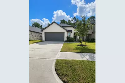 27294 Grey Fox Run, Magnolia, TX 77354 - Photo 1