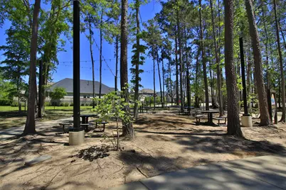 320 Rise Lane, Montgomery, TX 77316 - Photo 41