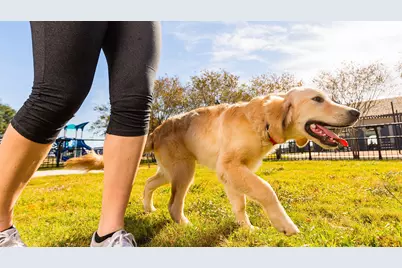 20510 Bronco Ridge Drive, Tomball, TX 77377 - Photo 31