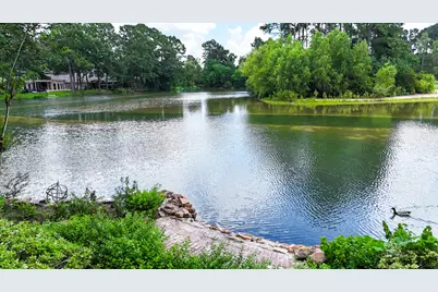 9515 Sotherloch Lake Drive, Spring, TX 77379 - Photo 43
