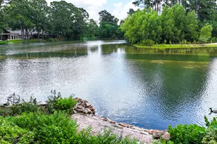 9515 Sotherloch Lake Dr, Spring, TX 77379 - Photo 43