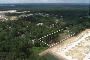 0000 Fm 1485, New Caney, TX 77357 - Photo 3