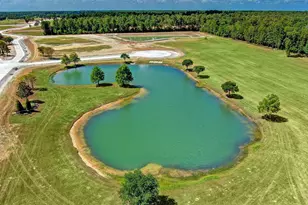2418 Emerie Arbor Ln, Hockley, TX 77447 - Photo 47