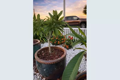 431 Hana Drive, Galveston, TX 77554 - Photo 15