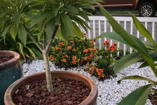 431 Hana Dr, Galveston, TX 77554 - Photo 15