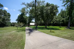 2220 FM 1013, Hillister, TX 77624 - Photo 5