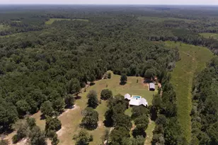 2220 FM 1013, Hillister, TX 77624 - Photo 45