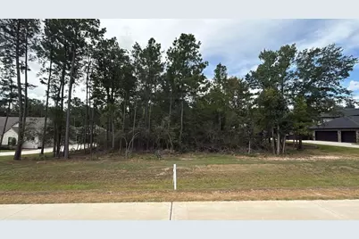 23737 Birch Grove Rd, Montgomery, TX 77316 - Photo 3