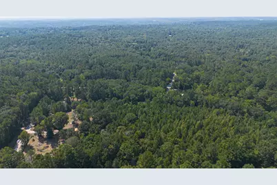 1031 Morris Creek Road, Coldspring, TX 77331 - Photo 5