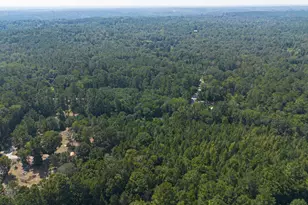 1031 Morris Creek Rd, Coldspring, TX 77331 - Photo 5