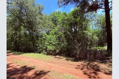 Tbd Lot 7 Lakeshore Drive, Hempstead, TX 77445 - Photo 5