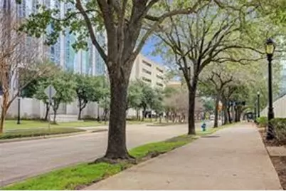 2121 El Paseo Street #1511, Houston, TX 77054 - Photo 19