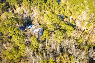 113 Preston Ave, Livingston, TX 77351 - Photo 29