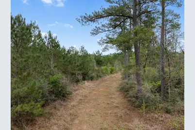15807 Vine View Court, Willis, TX 77378 - Photo 5