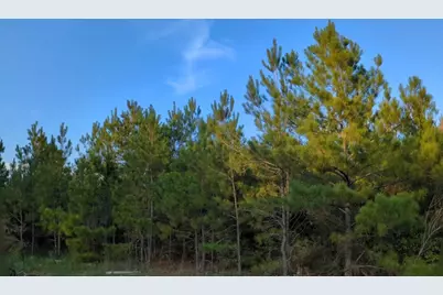 15807 Vine Veiw Court, Willis, TX 77378 - Photo 5