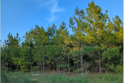 15807 Vine Veiw Court, Willis, TX 77378 - Photo 3