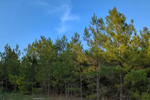 15807 Vine Vw Ct, Willis, TX 77378 - Photo 21