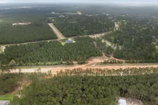 15807 Vine Vw Ct, Willis, TX 77378 - Photo 13