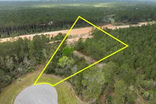 15807 Vine Vw Ct, Willis, TX 77378 - Photo 1