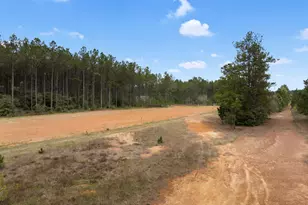 15807 Vine Vw Ct, Willis, TX 77378 - Photo 9