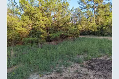 15807 Vine View Court, Willis, TX 77378 - Photo 19