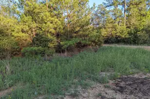 15807 Vine Vw Ct, Willis, TX 77378 - Photo 19