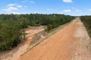 15807 Vine Vw Ct, Willis, TX 77378 - Photo 11