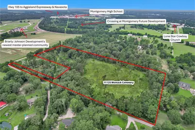 10.548 Acres Womack Cemetery Road, Montgomery, TX 77316 - Photo 1