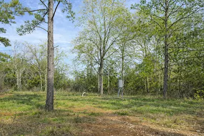 8133 N Cr 100, Leona, TX 75850 - Photo 7