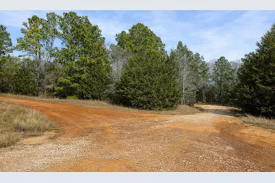 8133 N Cr 100, Leona, TX 75850 - Photo 5