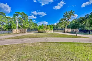 404 St Andrews Dr, New Ulm, TX 78950 - Photo 43