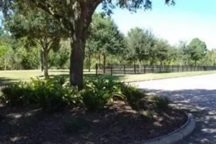 734 Memorial Mews St, Houston, TX 77079 - Photo 7