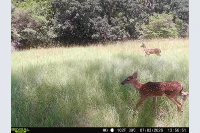 7921 Fm 3178, Centerville, TX 75833 - Photo 13