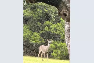 529 Cactus Flower Street, San Antonio, TX 78260 - Photo 31